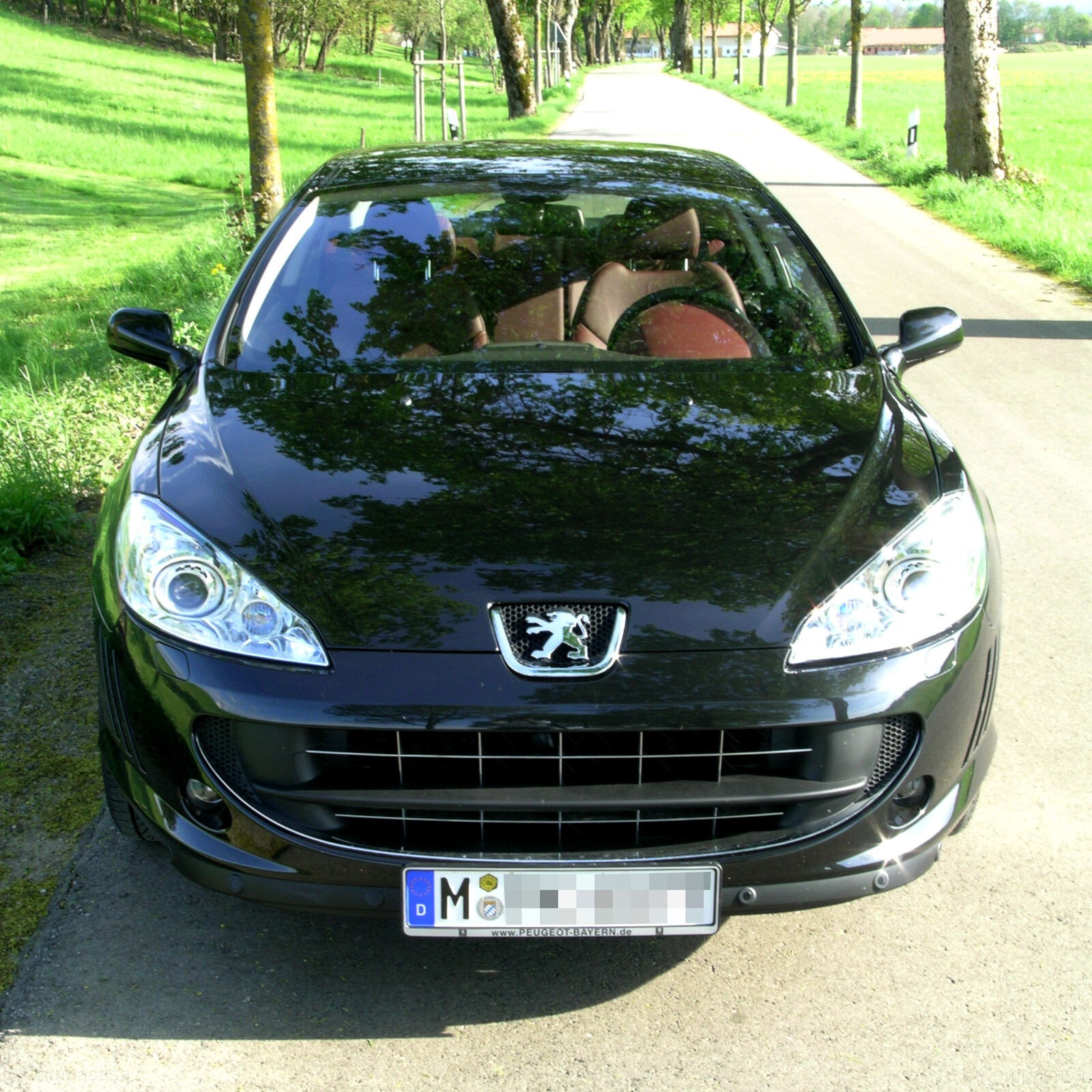 My Peugeot 407 Coupé